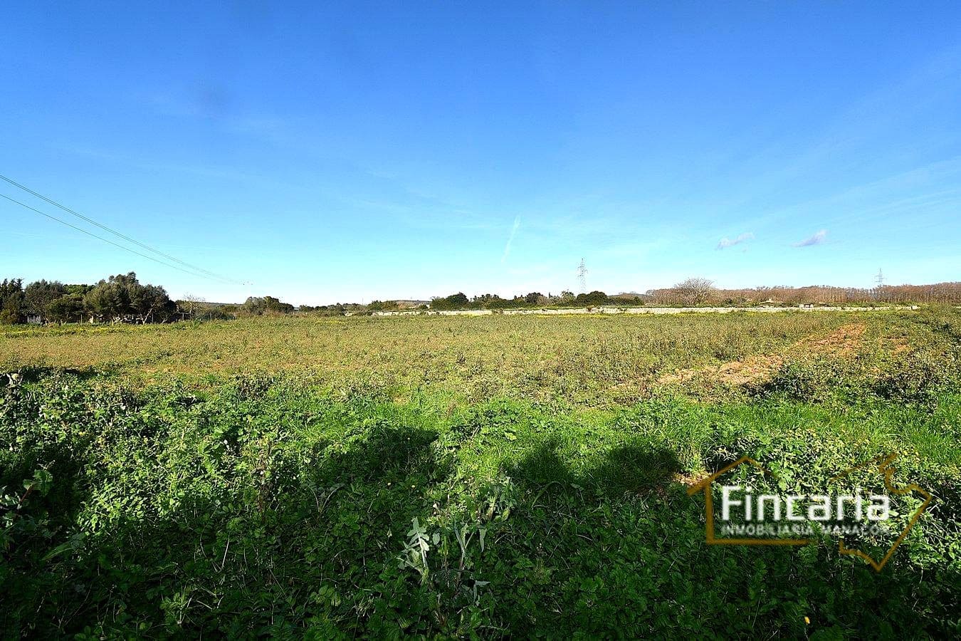 1 sypialnia Finka/Dom wiejski na sprzedaż w Manacor - 225 000 € (Ref: 9506809)