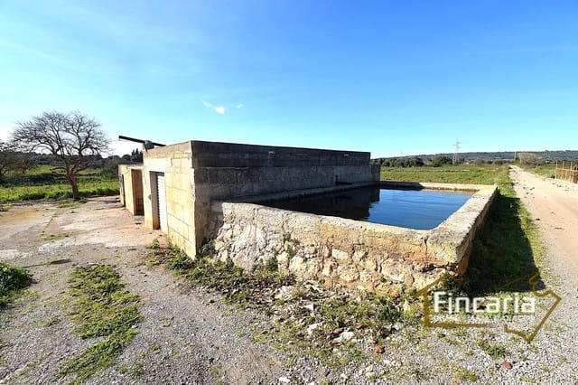 1 chambre Finca/Maison de Campagne à vendre à Manacor - 225 000 € (Ref: 9506809)