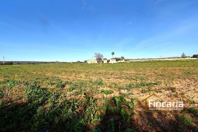 1 chambre Finca/Maison de Campagne à vendre à Manacor - 225 000 € (Ref: 9506809)