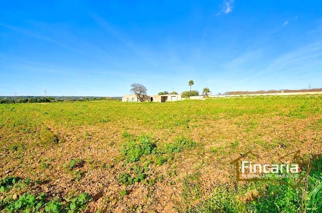 1 chambre Finca/Maison de Campagne à vendre à Manacor - 225 000 € (Ref: 9506809)