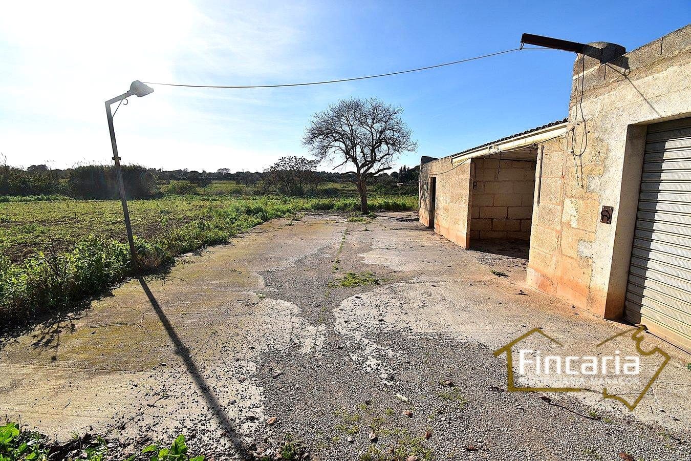 1 sypialnia Finka/Dom wiejski na sprzedaż w Manacor - 225 000 € (Ref: 9506809)