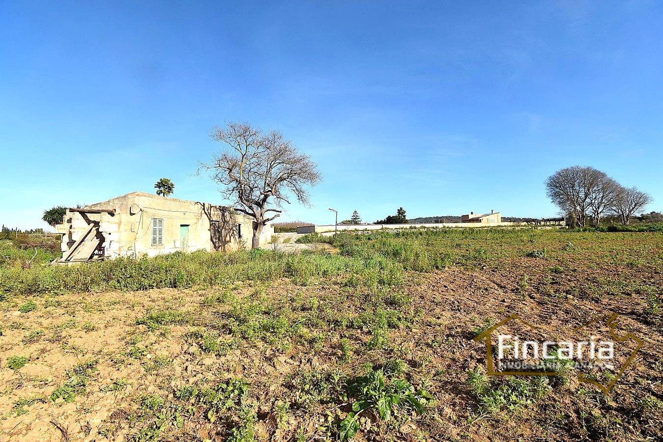 1 sypialnia Finka/Dom wiejski na sprzedaż w Manacor - 225 000 € (Ref: 9506809)