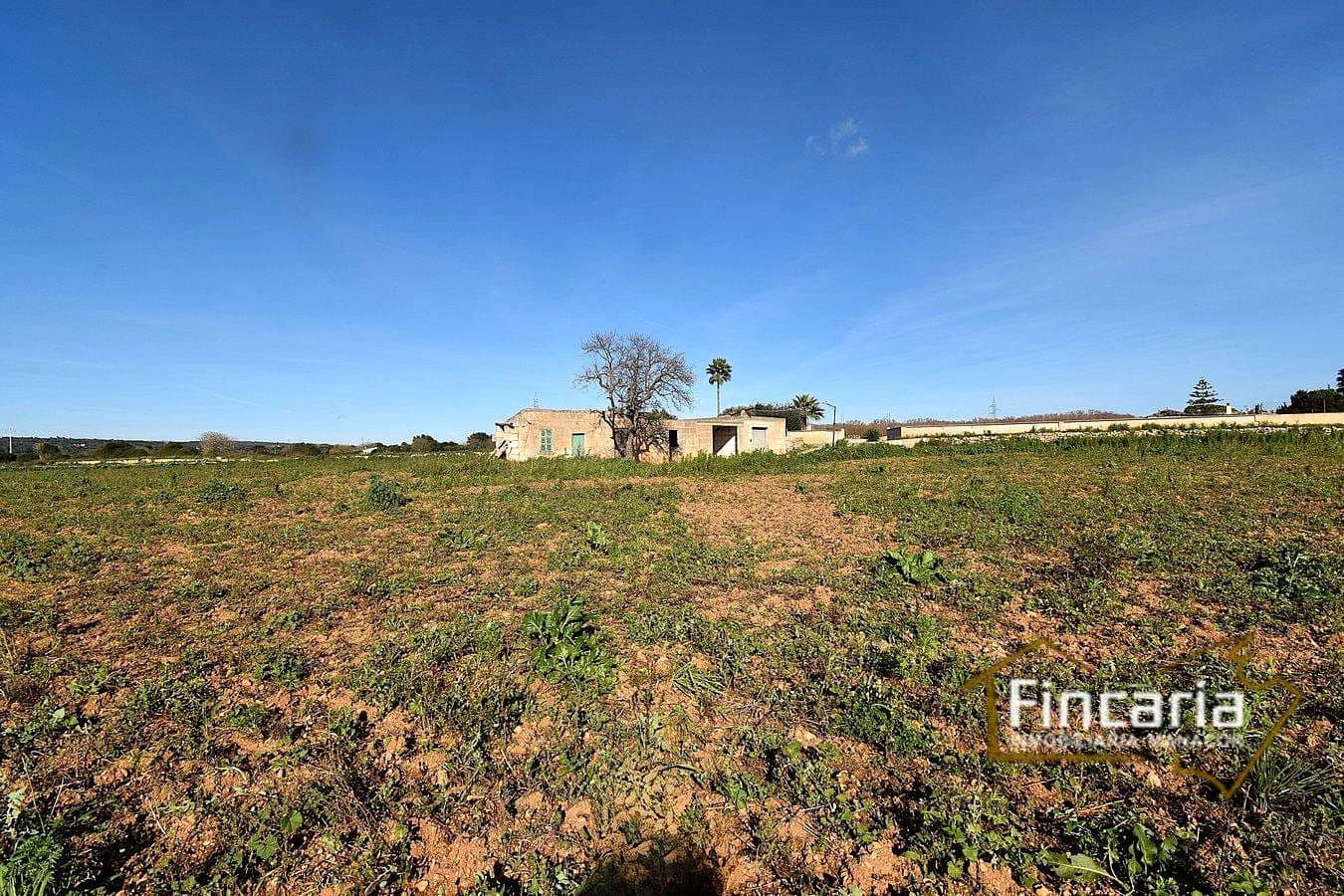 1 sypialnia Finka/Dom wiejski na sprzedaż w Manacor - 225 000 € (Ref: 9506809)