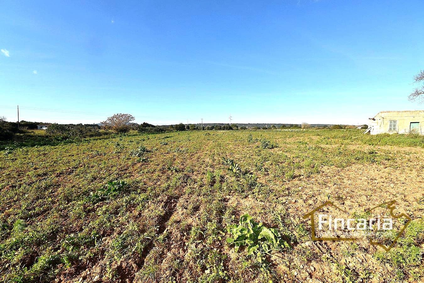 1 sypialnia Finka/Dom wiejski na sprzedaż w Manacor - 225 000 € (Ref: 9506809)
