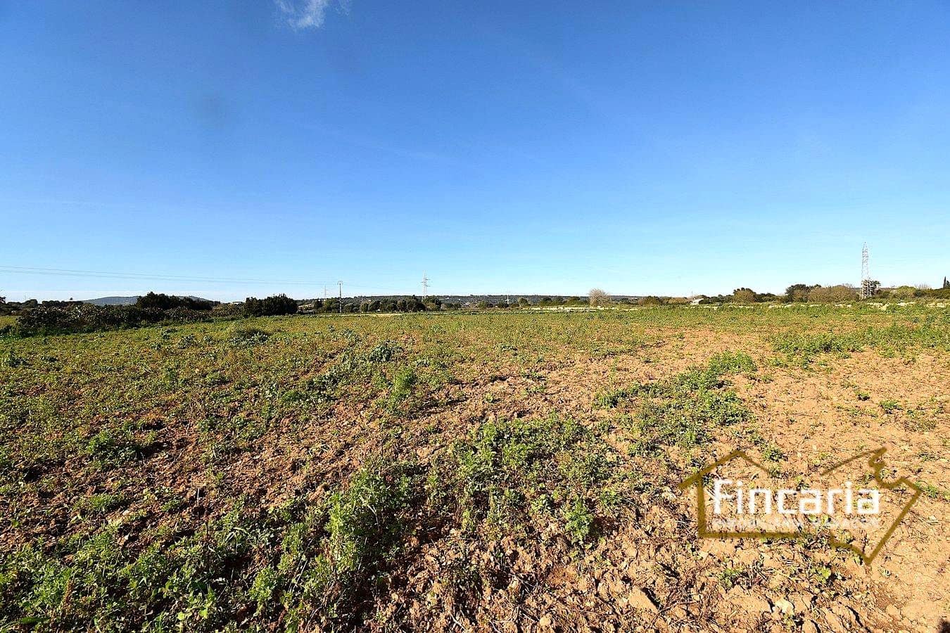 1 sypialnia Finka/Dom wiejski na sprzedaż w Manacor - 225 000 € (Ref: 9506809)