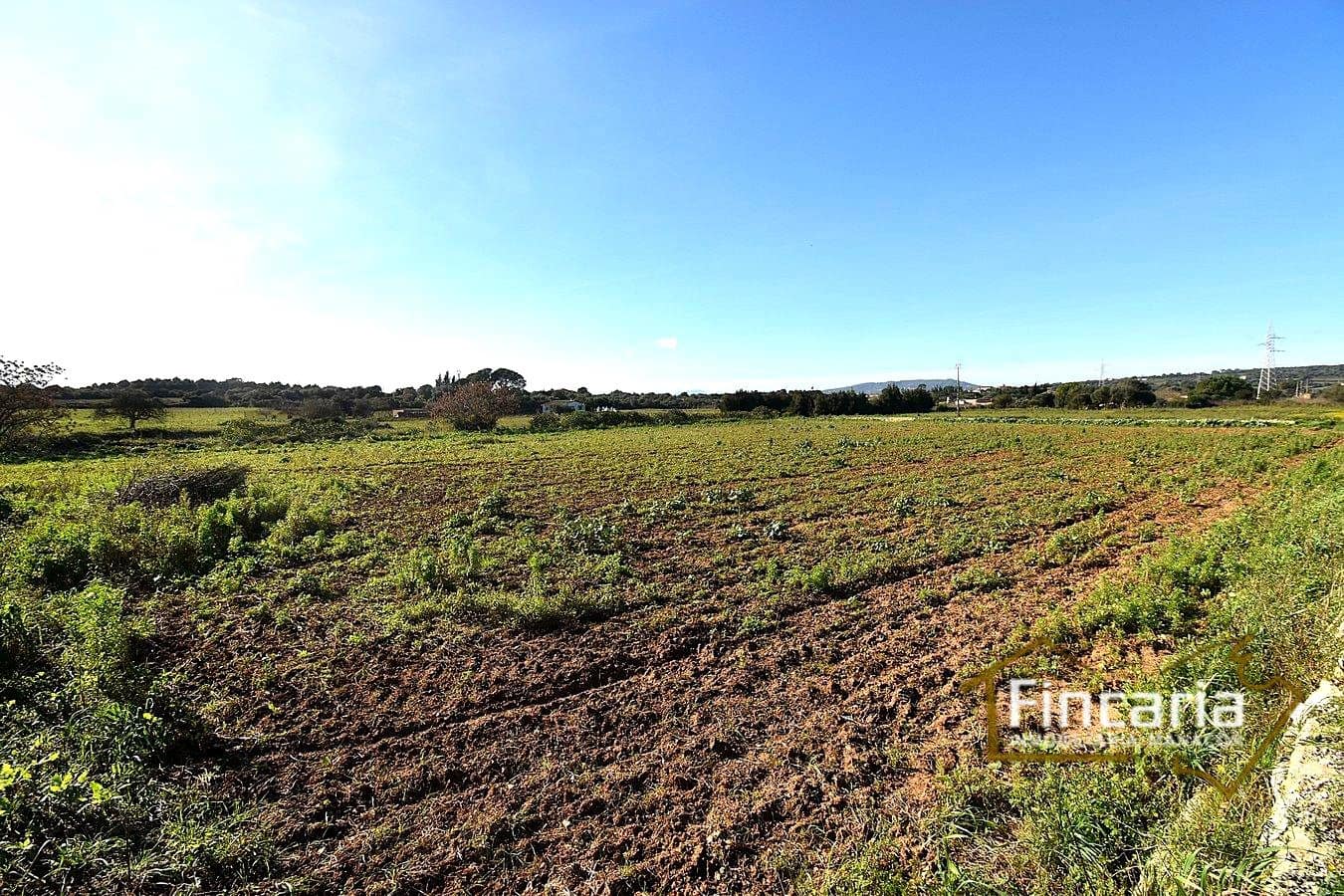 1 sypialnia Finka/Dom wiejski na sprzedaż w Manacor - 225 000 € (Ref: 9506809)