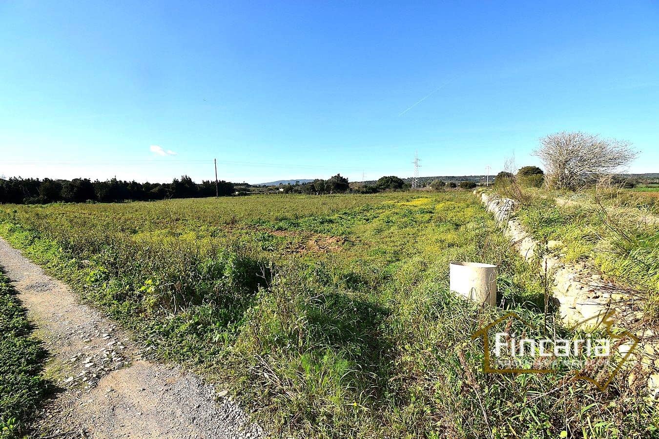 1 sypialnia Finka/Dom wiejski na sprzedaż w Manacor - 225 000 € (Ref: 9506809)