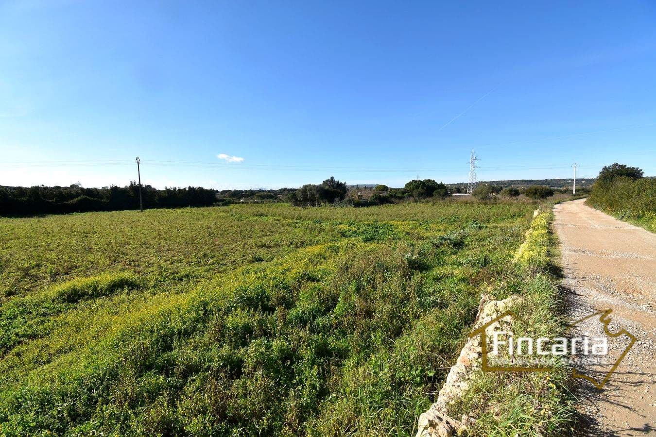 1 sypialnia Finka/Dom wiejski na sprzedaż w Manacor - 225 000 € (Ref: 9506809)
