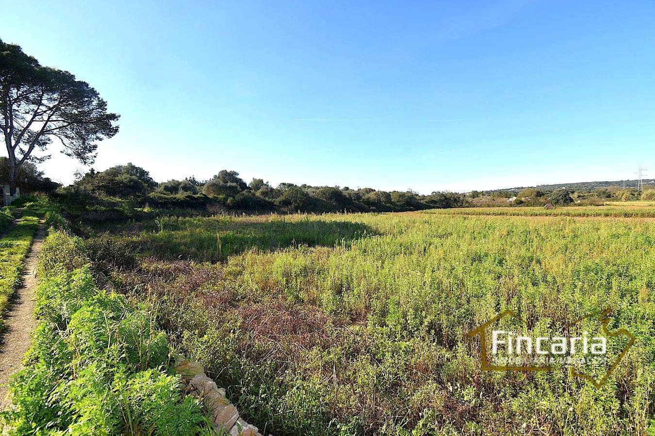 1 sypialnia Finka/Dom wiejski na sprzedaż w Manacor - 225 000 € (Ref: 9506809)