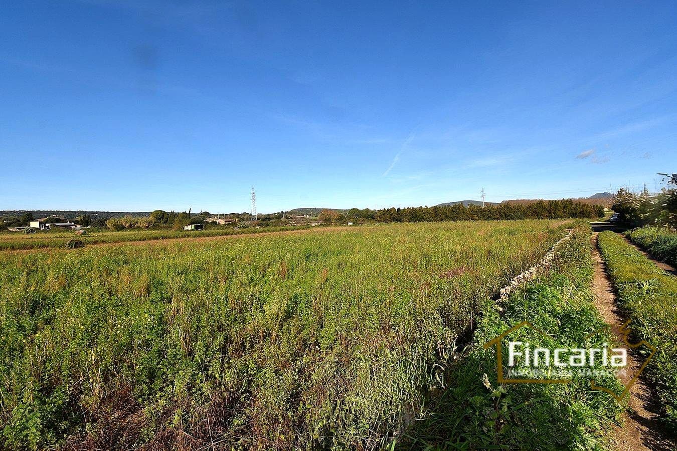 1 sypialnia Finka/Dom wiejski na sprzedaż w Manacor - 225 000 € (Ref: 9506809)