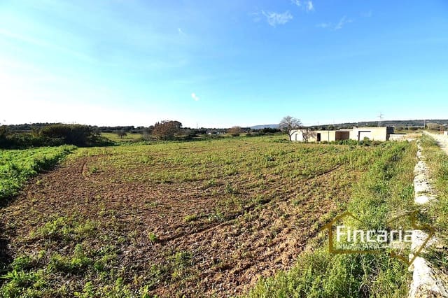 1 chambre Finca/Maison de Campagne à vendre à Manacor - 225 000 € (Ref: 9506809)
