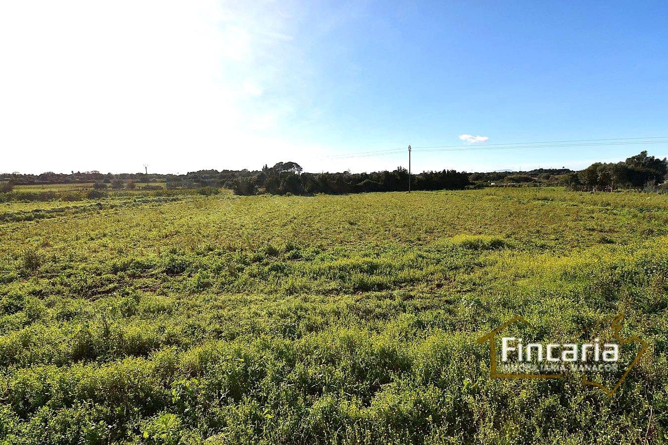 1 sypialnia Finka/Dom wiejski na sprzedaż w Manacor - 225 000 € (Ref: 9506809)