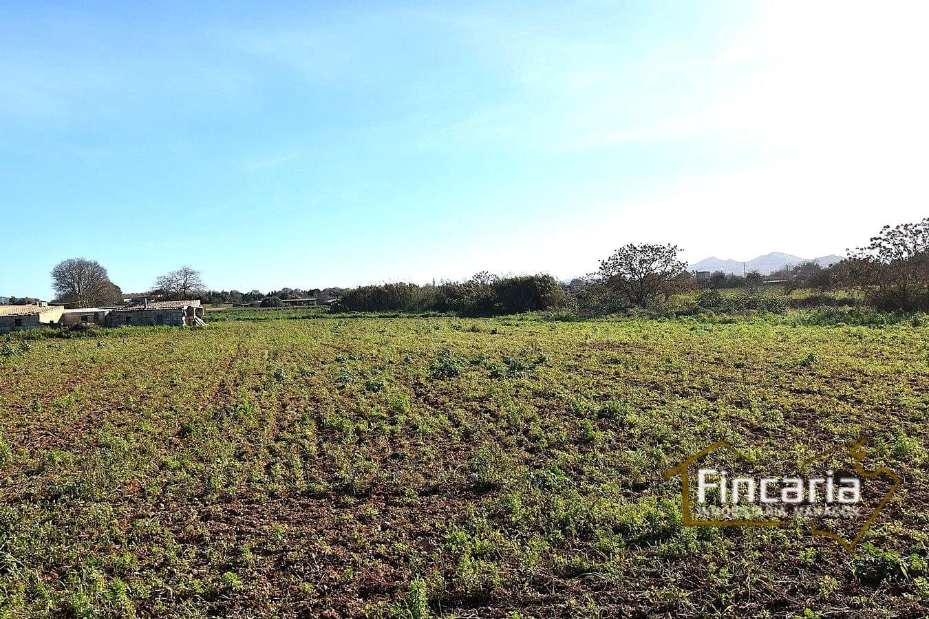 1 sypialnia Finka/Dom wiejski na sprzedaż w Manacor - 225 000 € (Ref: 9506809)