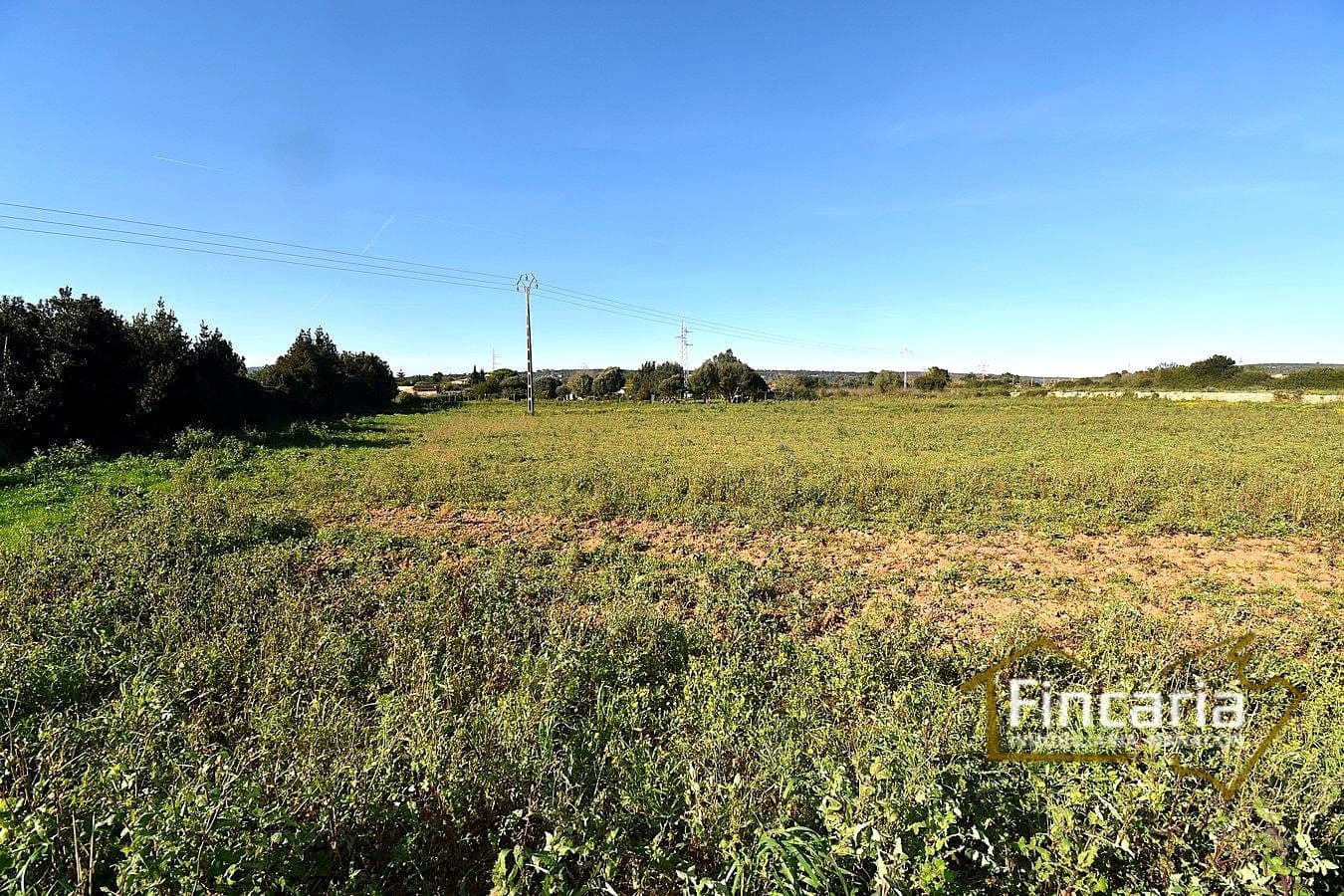 1 sypialnia Finka/Dom wiejski na sprzedaż w Manacor - 225 000 € (Ref: 9506809)
