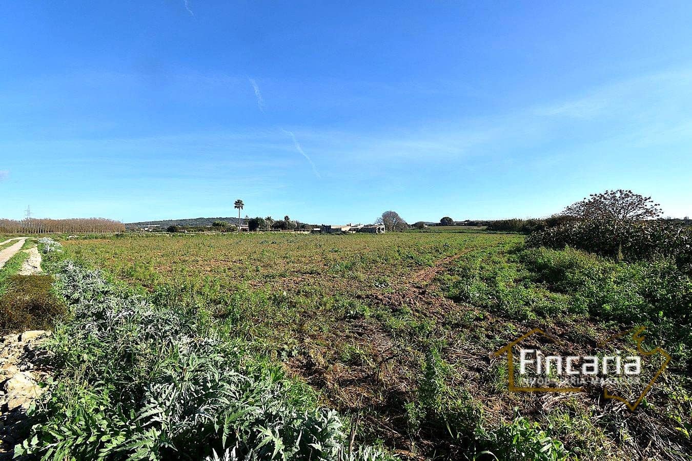 1 sypialnia Finka/Dom wiejski na sprzedaż w Manacor - 225 000 € (Ref: 9506809)