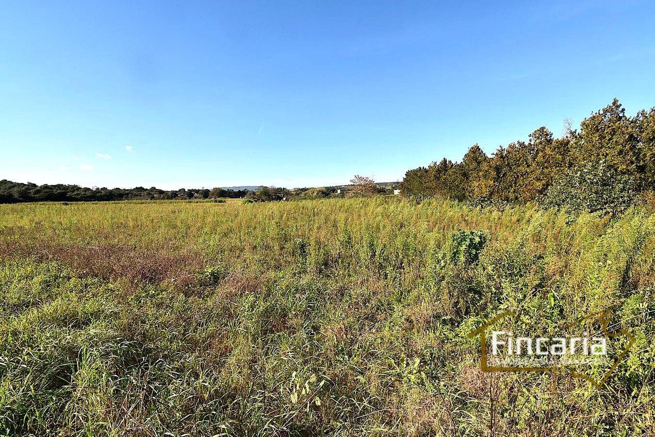 1 sypialnia Finka/Dom wiejski na sprzedaż w Manacor - 225 000 € (Ref: 9506809)