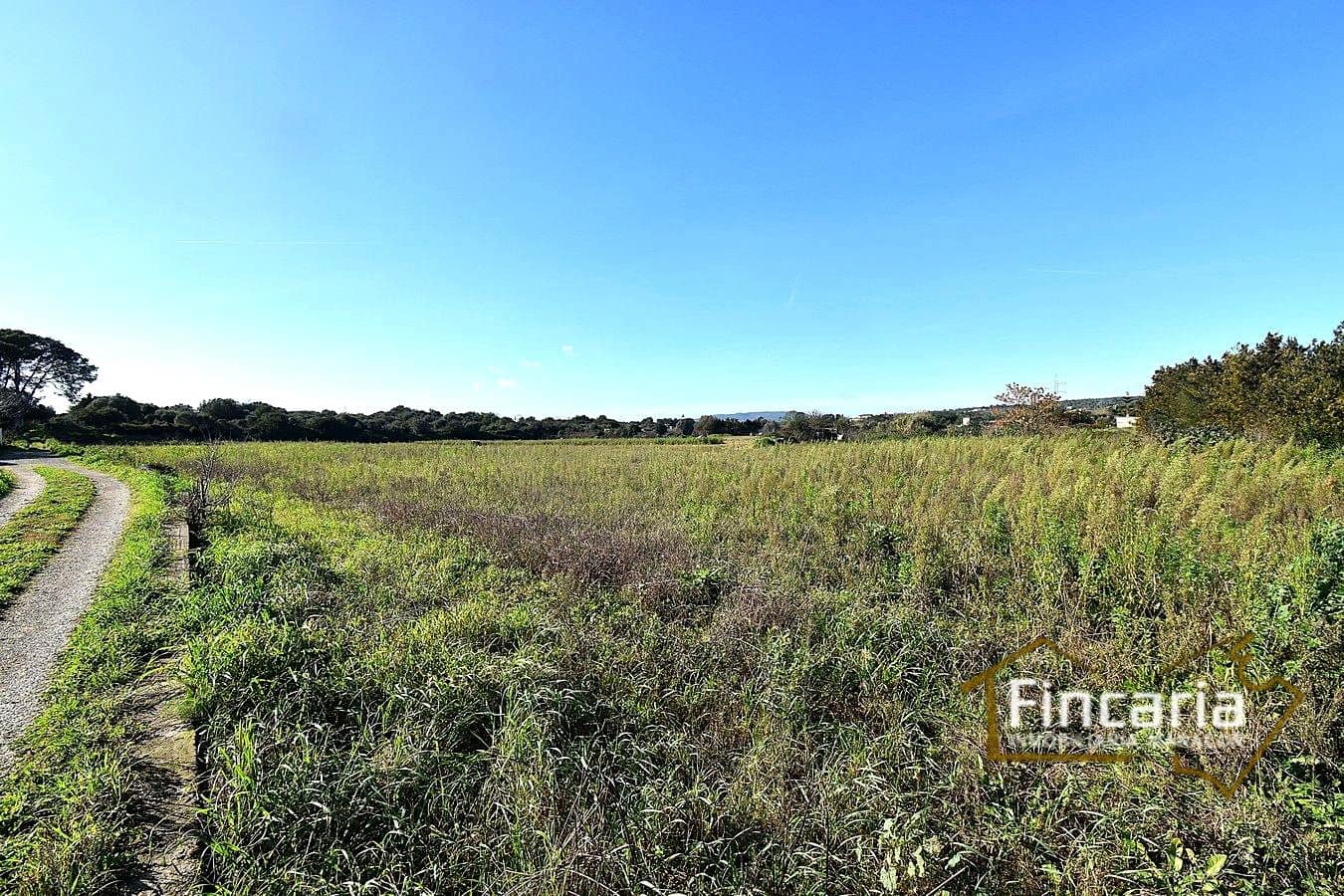 1 sypialnia Finka/Dom wiejski na sprzedaż w Manacor - 225 000 € (Ref: 9506809)