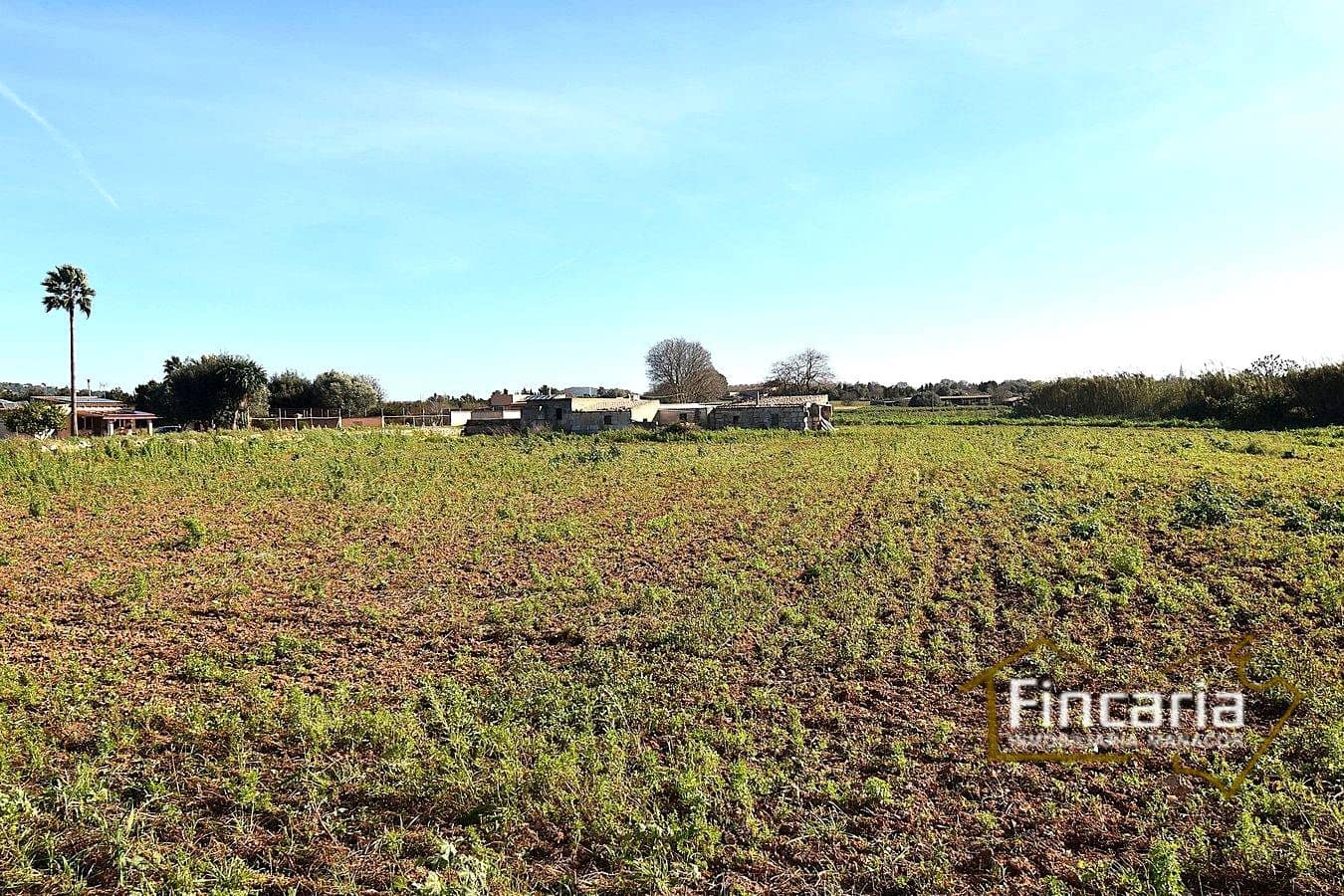 1 sypialnia Finka/Dom wiejski na sprzedaż w Manacor - 225 000 € (Ref: 9506809)