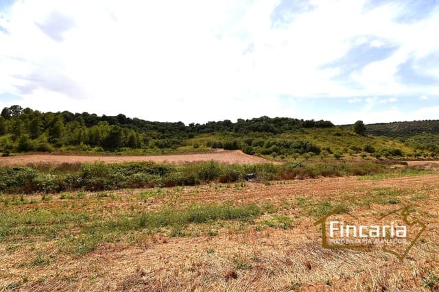 Rakentamaton maa myytävänä paikassa Manacor - 49 000 € (Ref: 9669459)