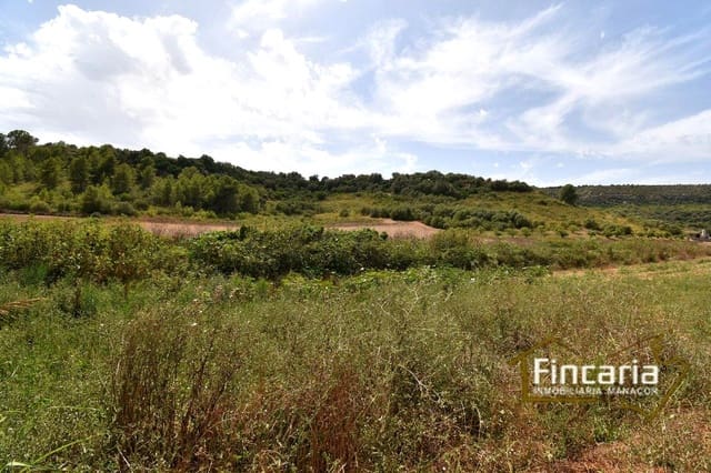 Rakentamaton maa myytävänä paikassa Manacor - 49 000 € (Ref: 9669459)