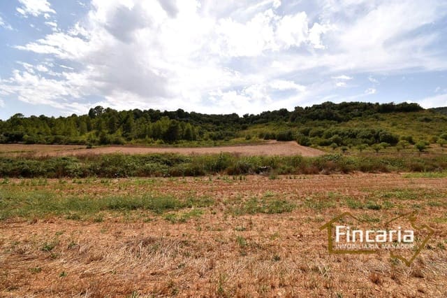 Rakentamaton maa myytävänä paikassa Manacor - 49 000 € (Ref: 9669459)