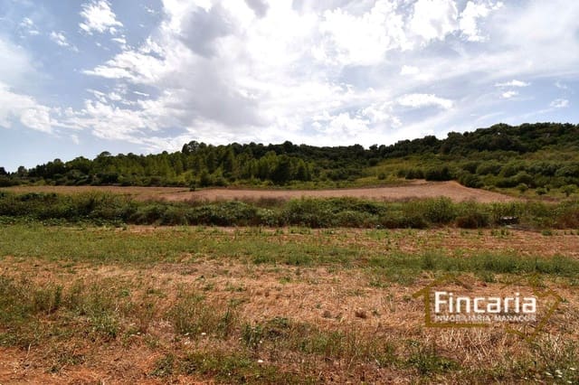Rakentamaton maa myytävänä paikassa Manacor - 49 000 € (Ref: 9669459)