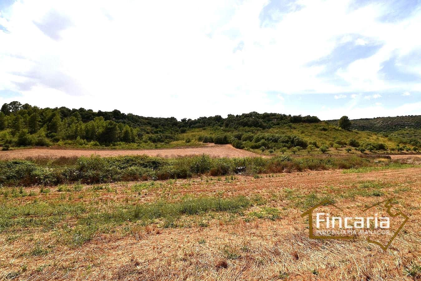 Landgrundstück zu verkaufen in Manacor - 49.000 € (Ref: 9669459)