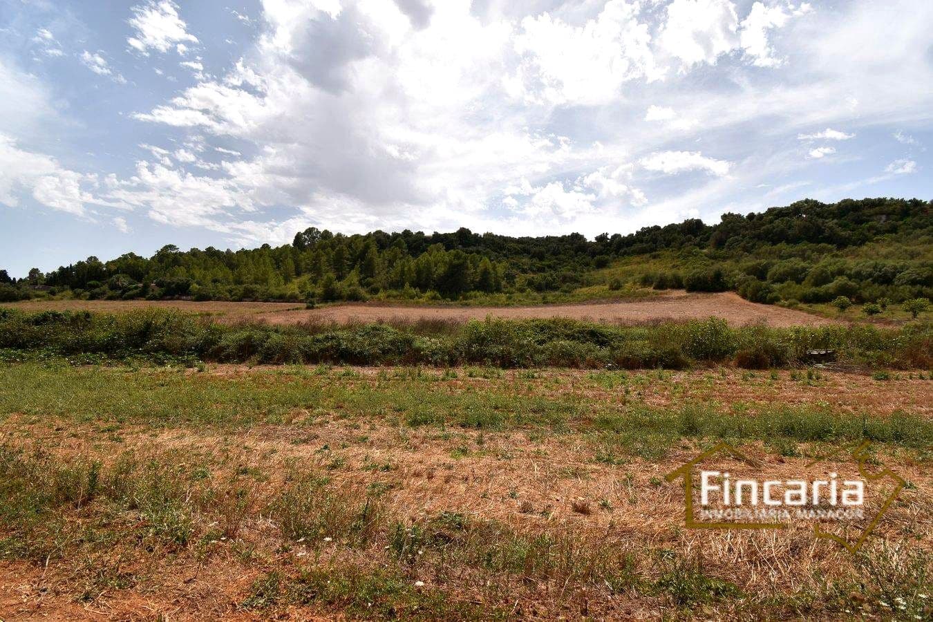 Landgrundstück zu verkaufen in Manacor - 49.000 € (Ref: 9669459)