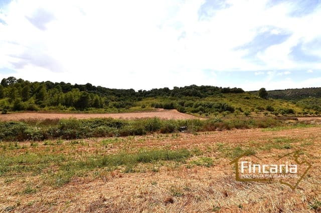 Undeveloped Land for sale in Manacor - € 49,000 (Ref: 9669459)