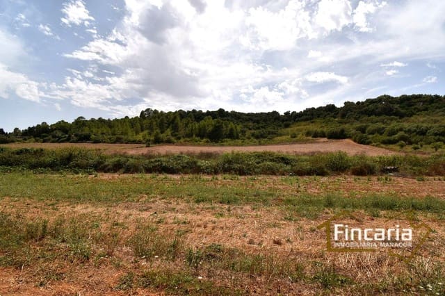 Undeveloped Land for sale in Manacor - € 49,000 (Ref: 9669459)