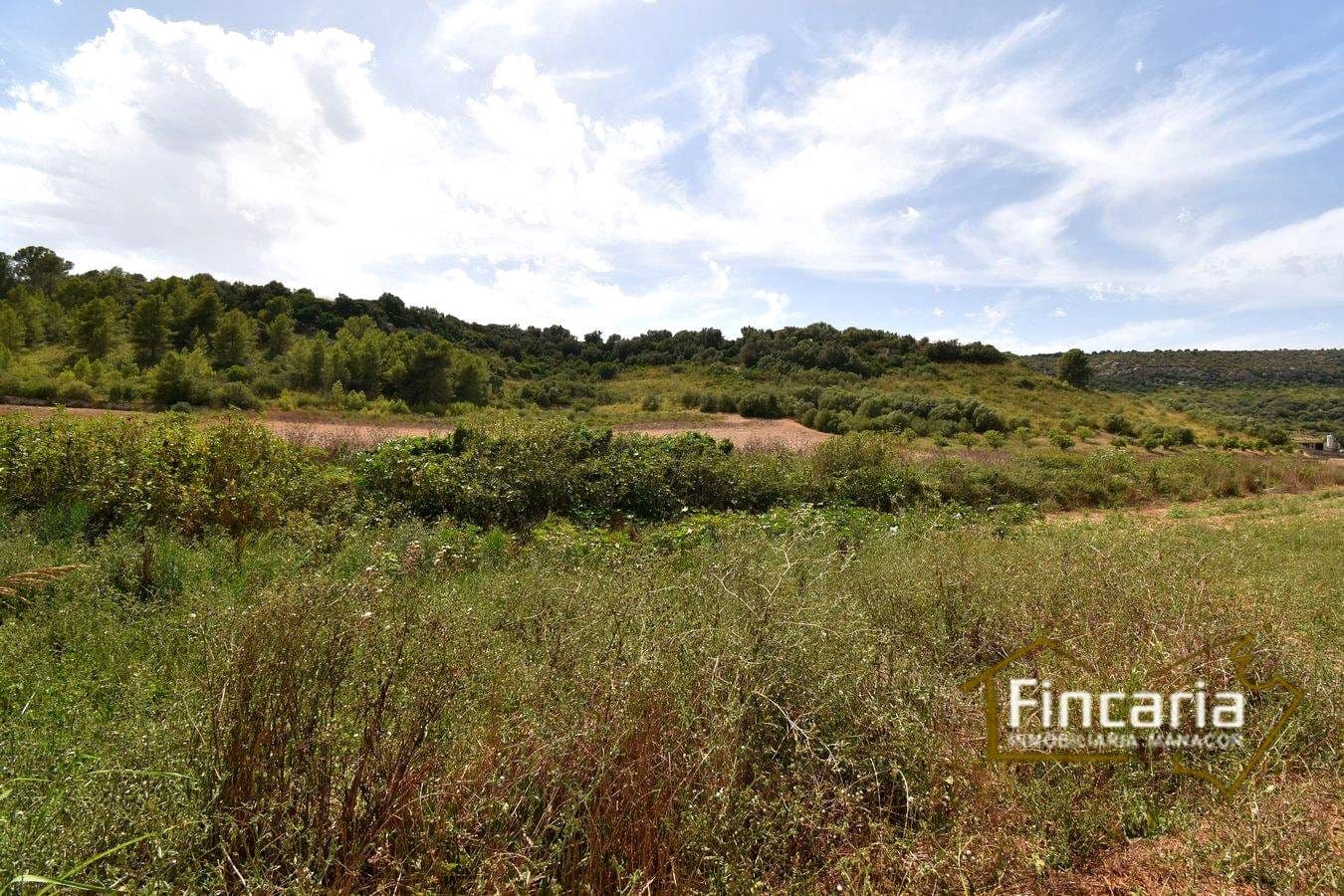 Landgrundstück zu verkaufen in Manacor - 49.000 € (Ref: 9669459)