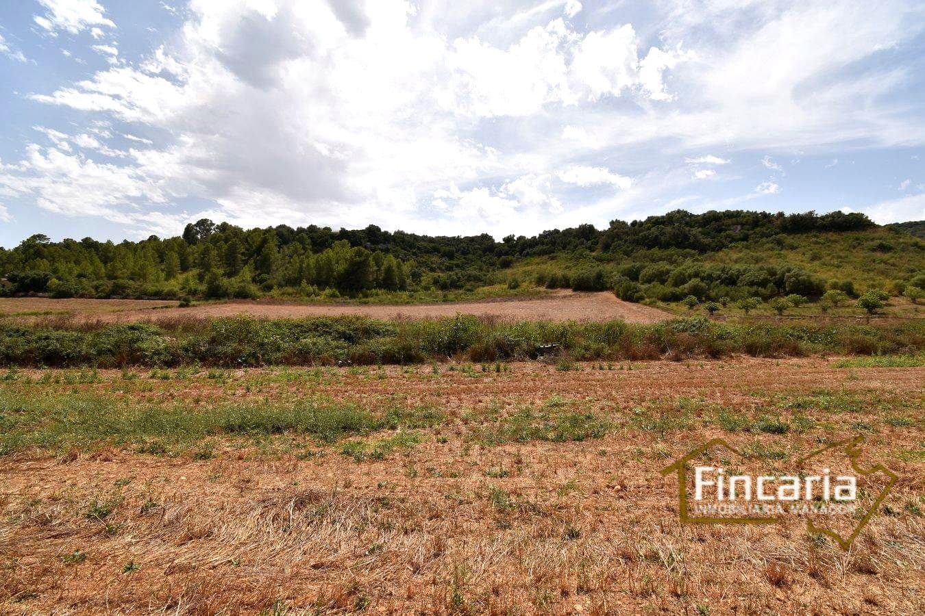 Landgrundstück zu verkaufen in Manacor - 49.000 € (Ref: 9669459)