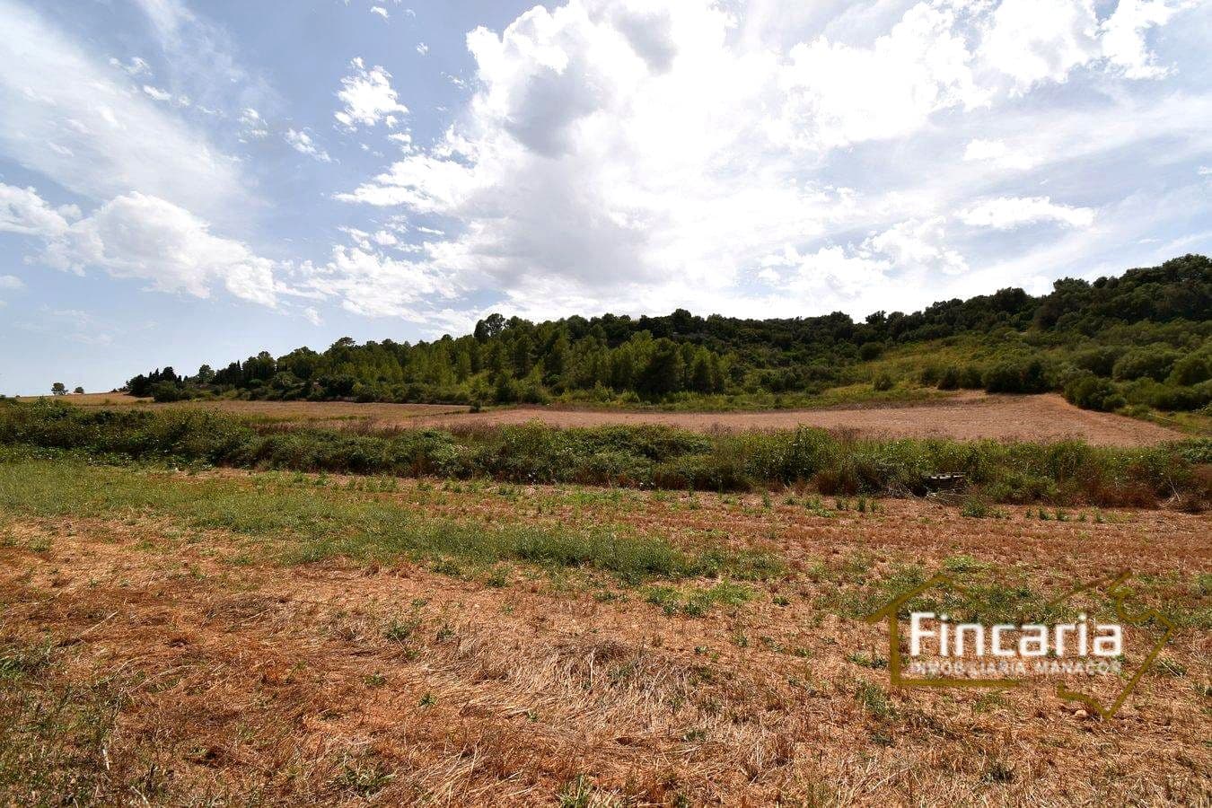 Landgrundstück zu verkaufen in Manacor - 49.000 € (Ref: 9669459)