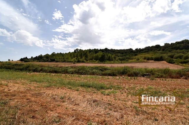 Undeveloped Land for sale in Manacor - € 49,000 (Ref: 9669459)
