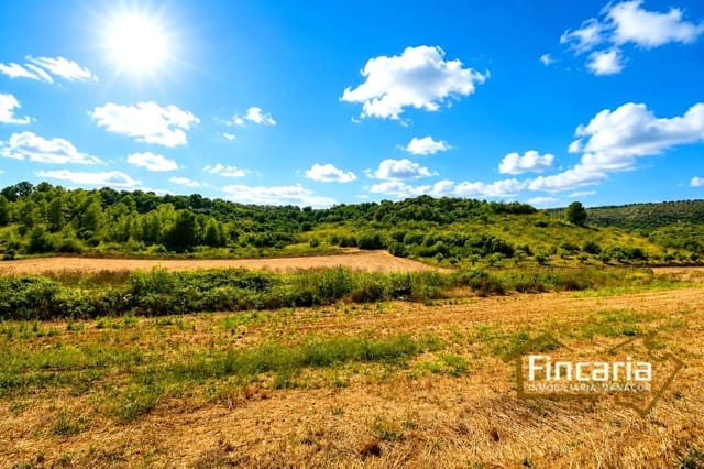 Undeveloped Land for sale in Manacor - € 49,000 (Ref: 9669459)