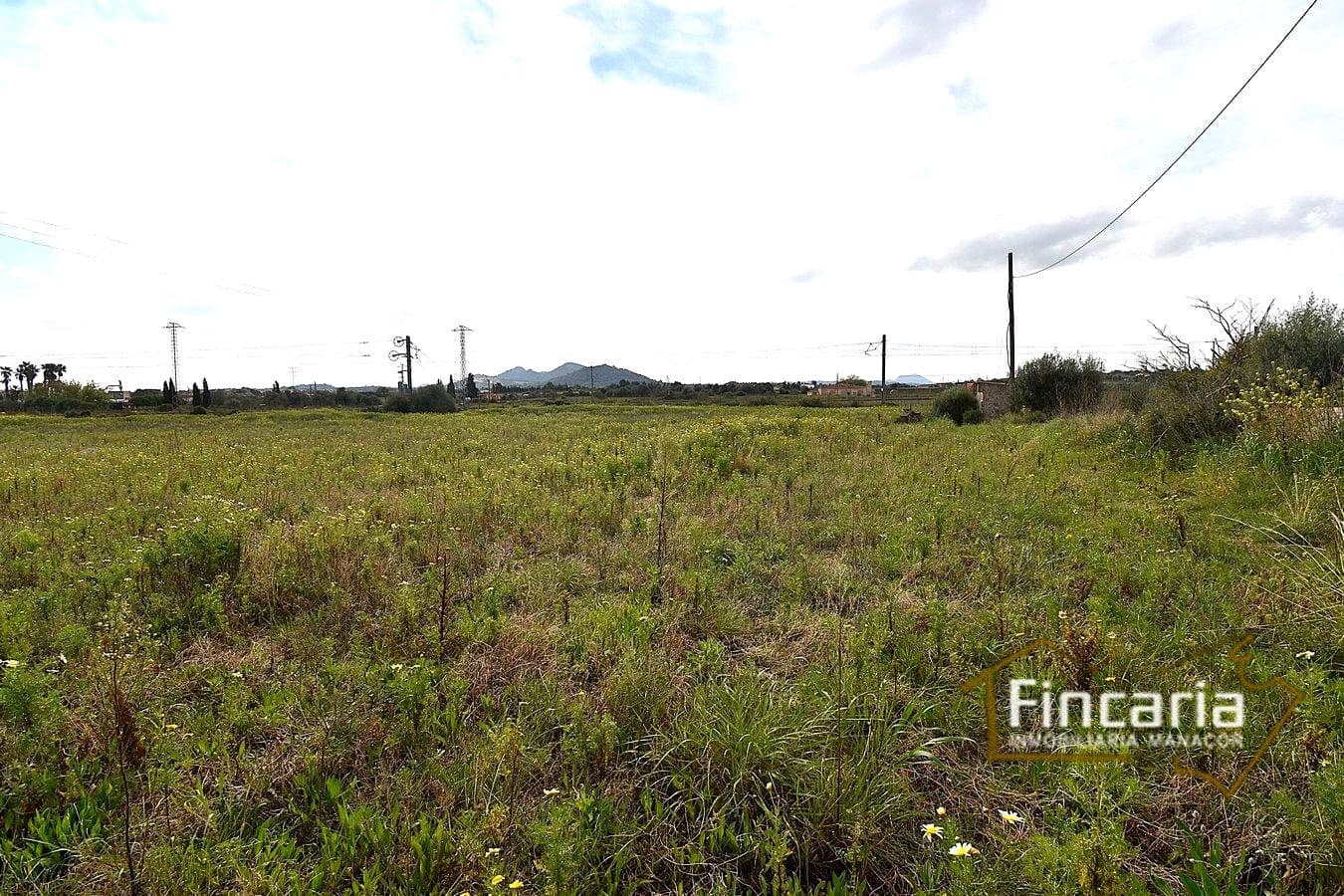 3 bedroom Finca/Country House for sale in Manacor - € 169,000 (Ref: 9737043)