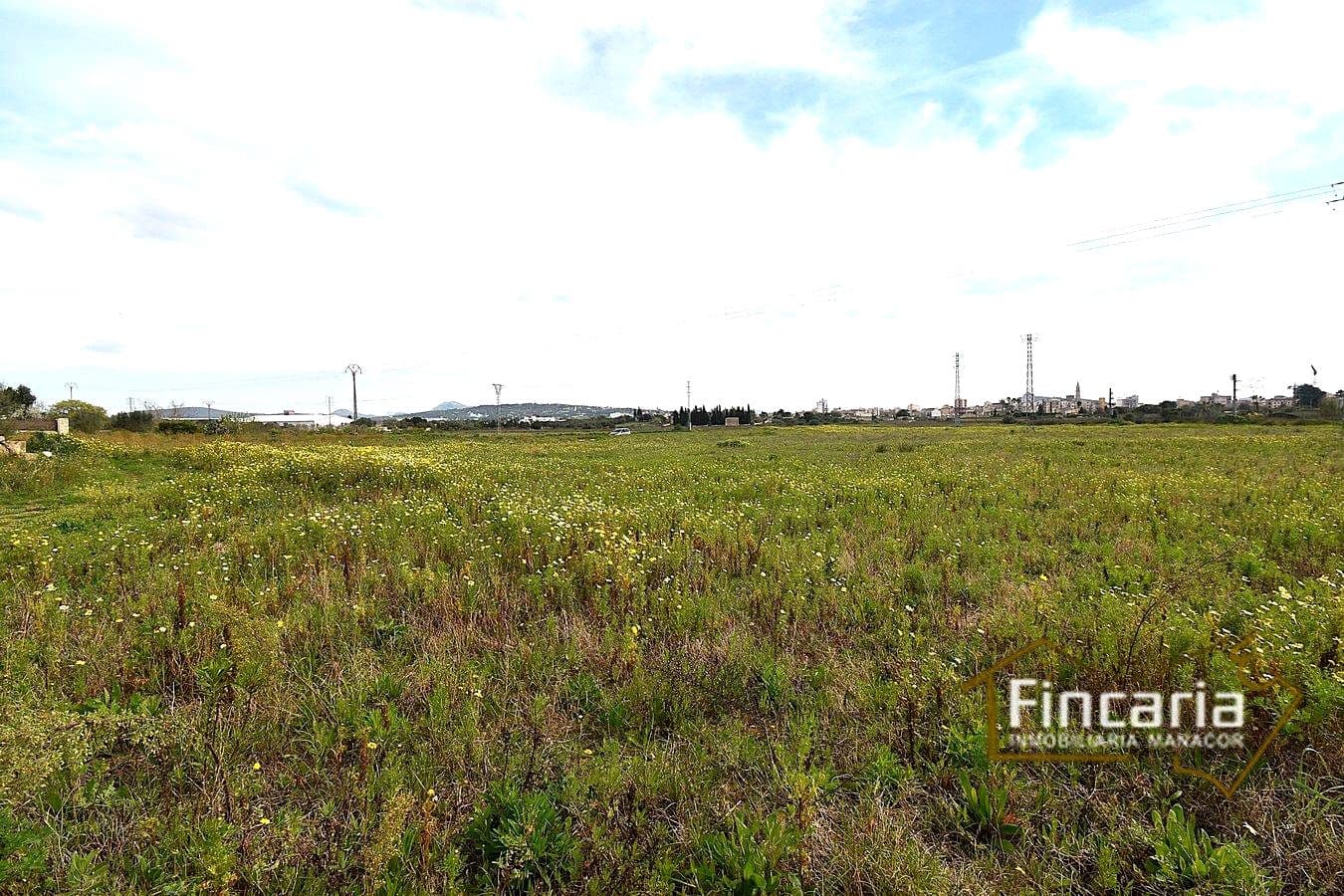 3 bedroom Finca/Country House for sale in Manacor - € 169,000 (Ref: 9737043)