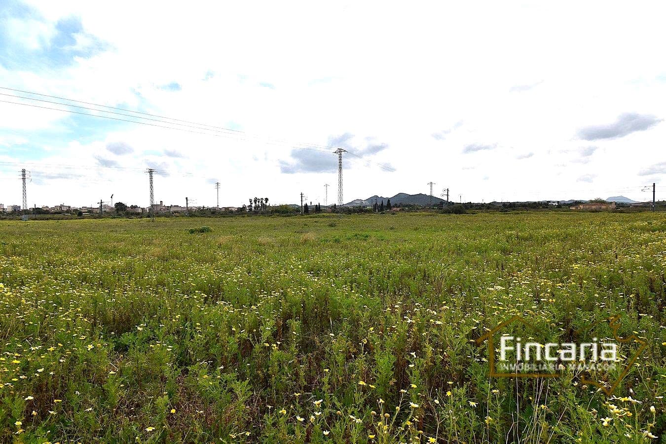 3 bedroom Finca/Country House for sale in Manacor - € 169,000 (Ref: 9737043)