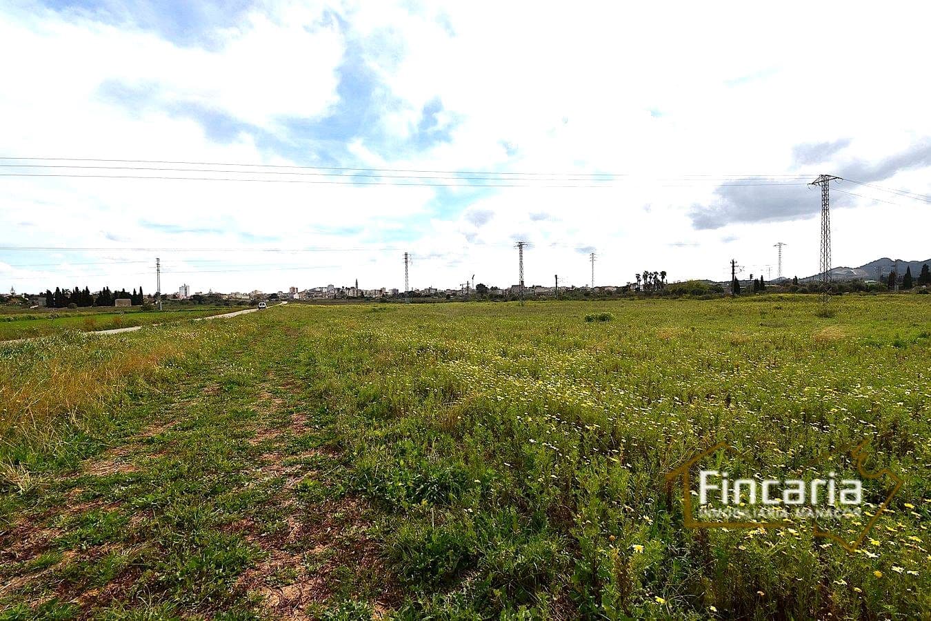 3 bedroom Finca/Country House for sale in Manacor - € 169,000 (Ref: 9737043)