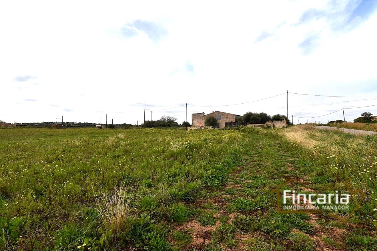 3 quarto Quinta/Casa Rural para venda em Manacor - 169 000 € (Ref: 9737043)