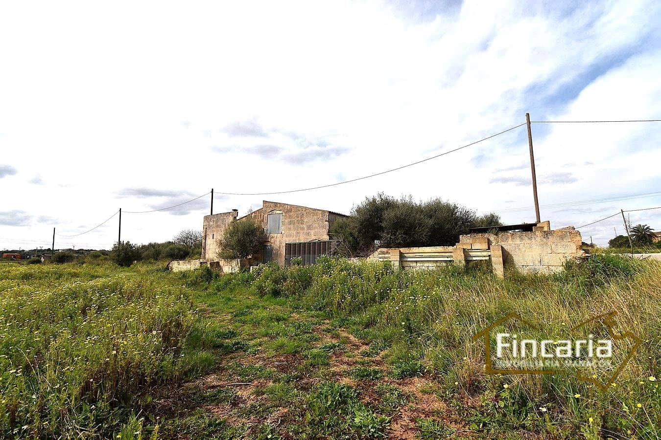 3 quarto Quinta/Casa Rural para venda em Manacor - 169 000 € (Ref: 9737043)
