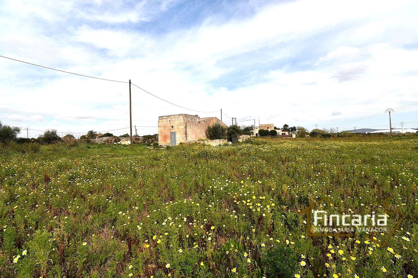 3 quarto Quinta/Casa Rural para venda em Manacor - 169 000 € (Ref: 9737043)