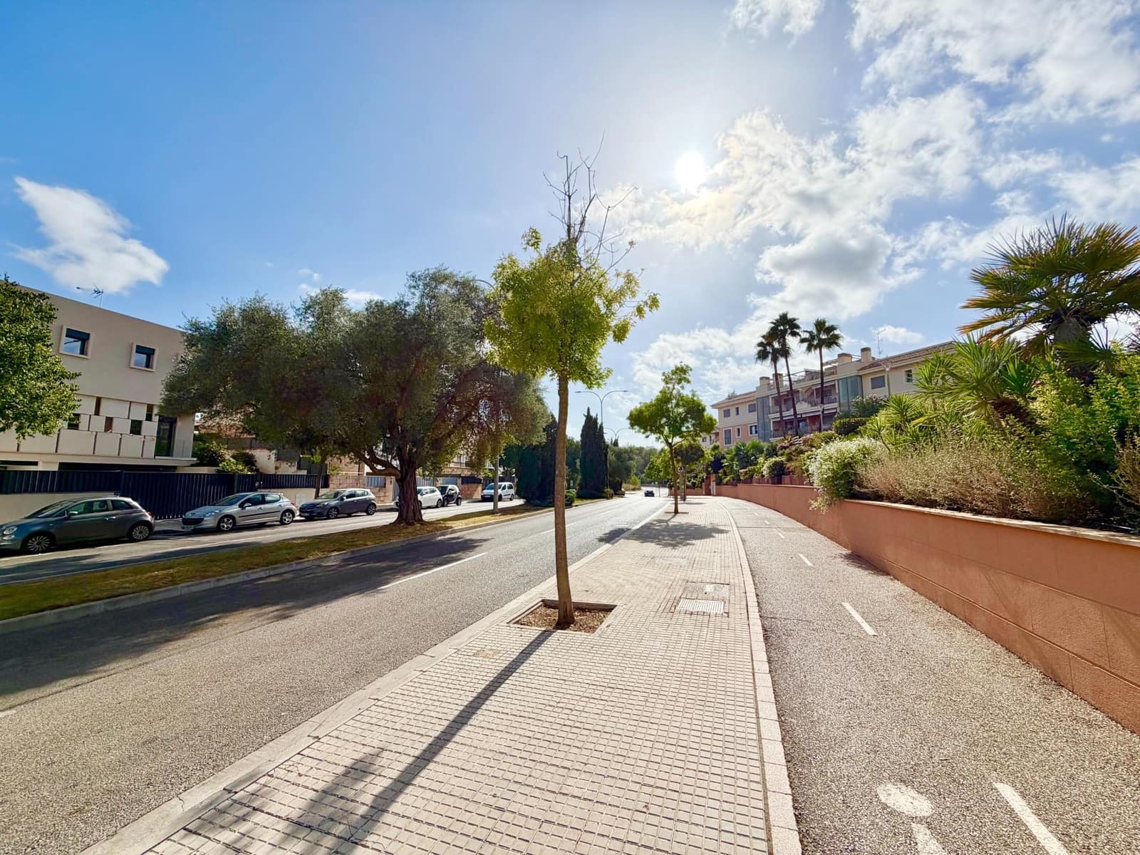 3 soverom Leilighet til leie i Palma de Mallorca med svømmebasseng garasje - € 2 000 (Ref: 10067945)