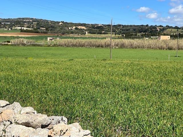 Finca/Casa Rural de 3 habitaciones en Manacor en venta - 1.200.000 € (Ref: 8199415)