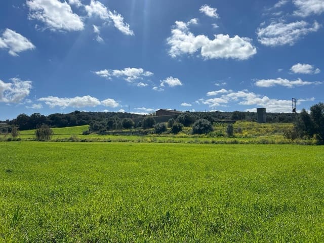 3 Zimmer Finca/Landgut zu verkaufen in Manacor - 1.200.000 € (Ref: 8199415)