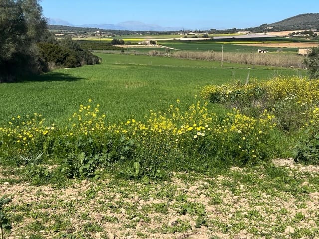 3 Zimmer Finca/Landgut zu verkaufen in Manacor - 1.200.000 € (Ref: 8199415)