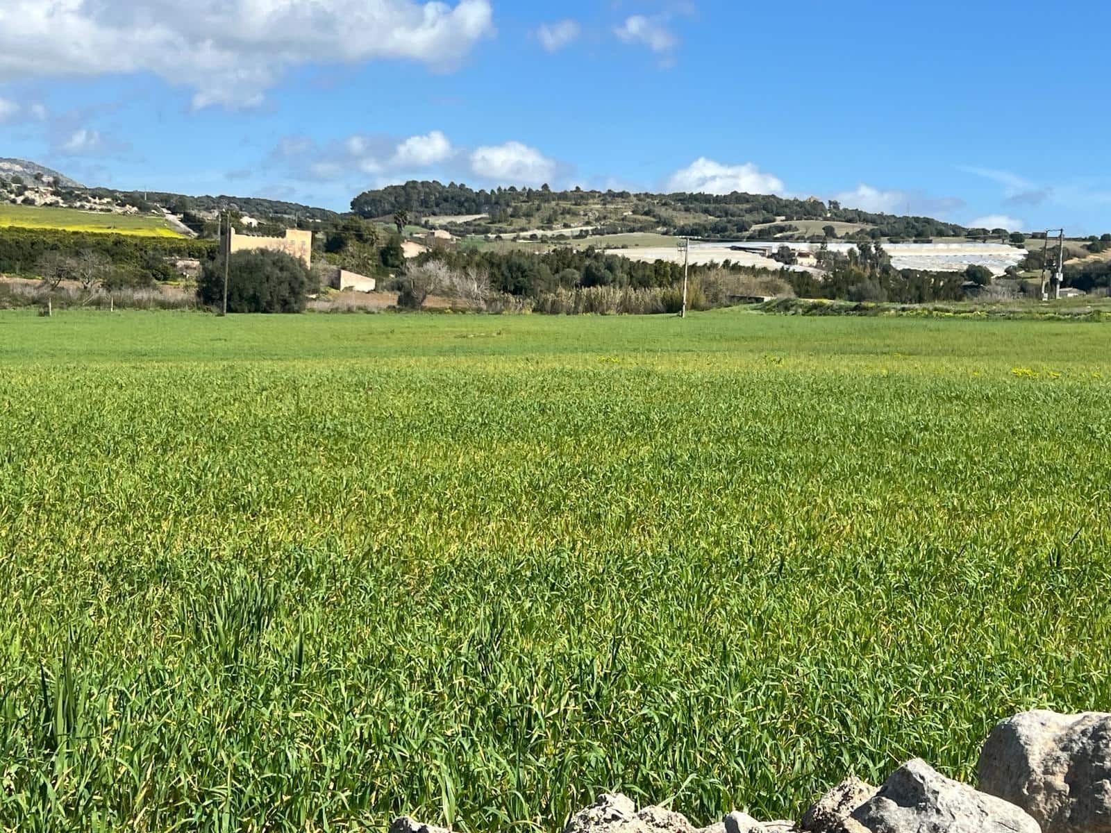 3 chambre Finca/Maison de Campagne à vendre à Manacor - 1 200 000 € (Ref: 8199415)