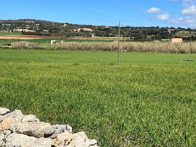 3 chambre Finca/Maison de Campagne à vendre à Manacor - 1 200 000 € (Ref: 8199415)