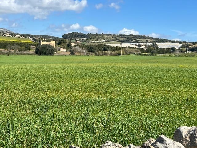 3 chambre Finca/Maison de Campagne à vendre à Manacor - 1 200 000 € (Ref: 8199415)