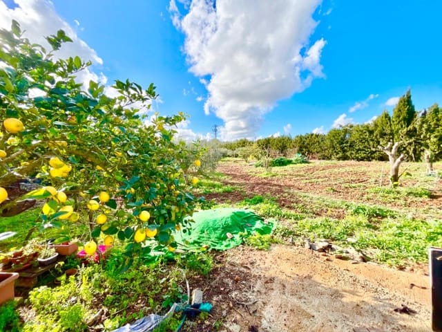 2 camera da letto Finca/Casa di Campagna in vendita in Campos con piscina garage - 358.000 € (Rif: 9134315)